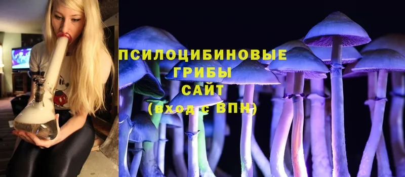 Галлюциногенные грибы Magic Shrooms  мега ссылки  Нытва  купить наркотики цена 